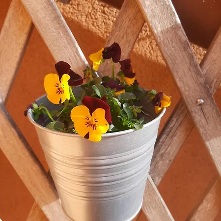 Apartmán Damajuana Teruel