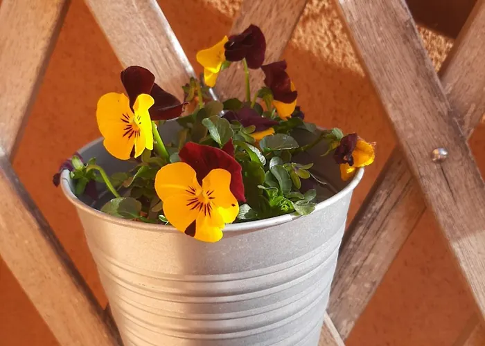 Apartment Damajuana Teruel